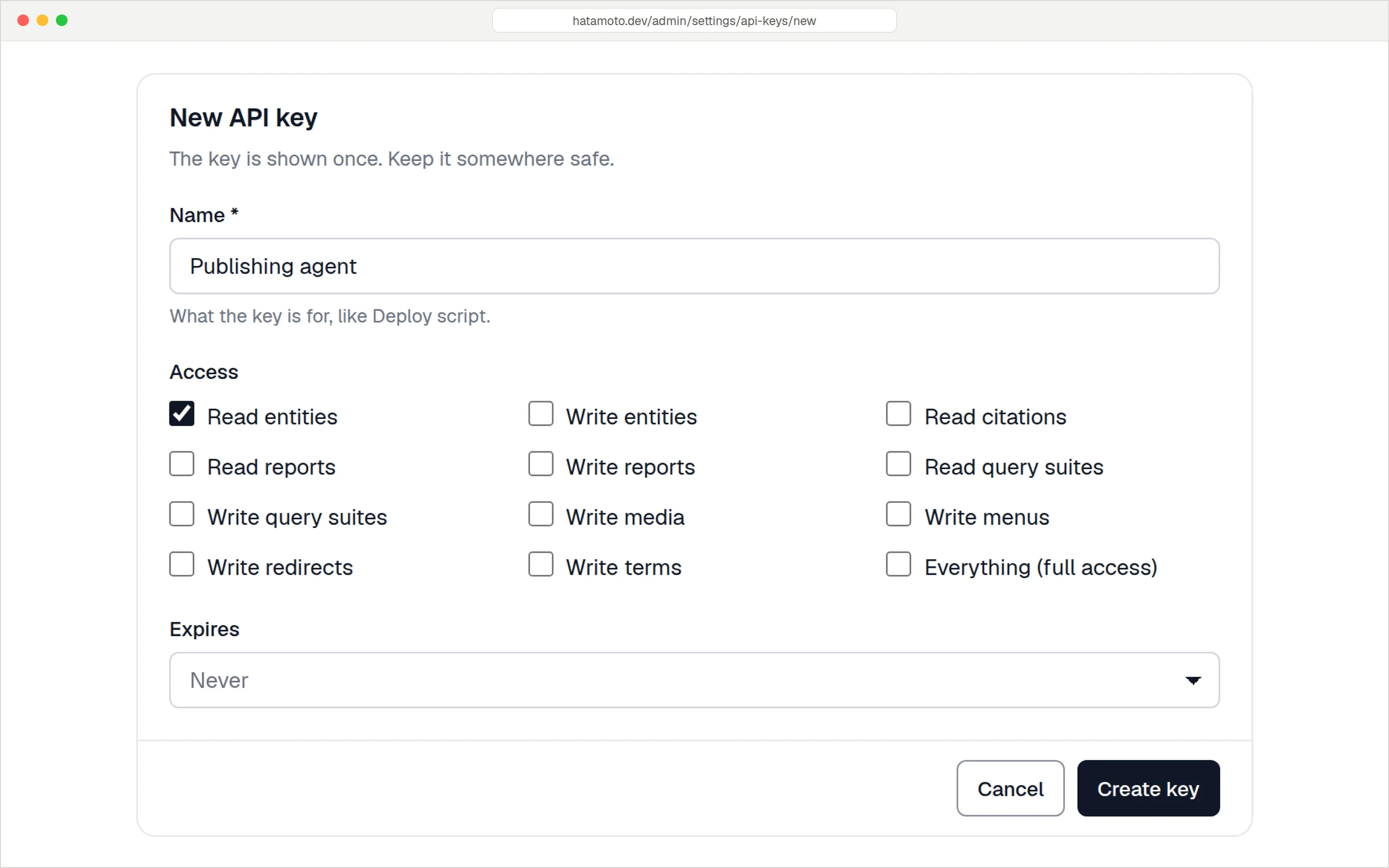 New API key form with access scopes such as Read entities, Write entities, Write media, Write menus and Write redirects.